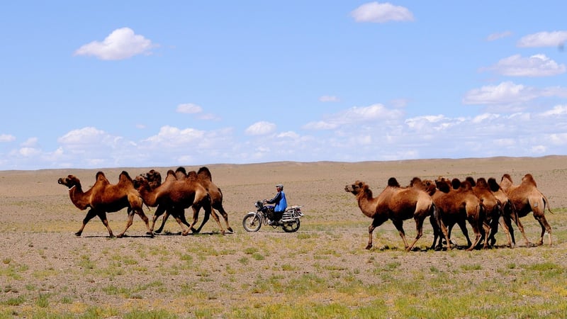 Chrono Nomads