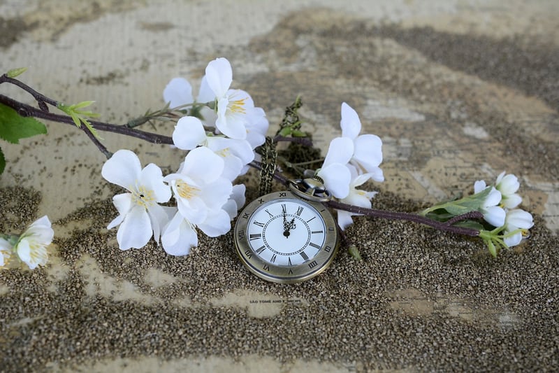 Temporal Displacement Watch